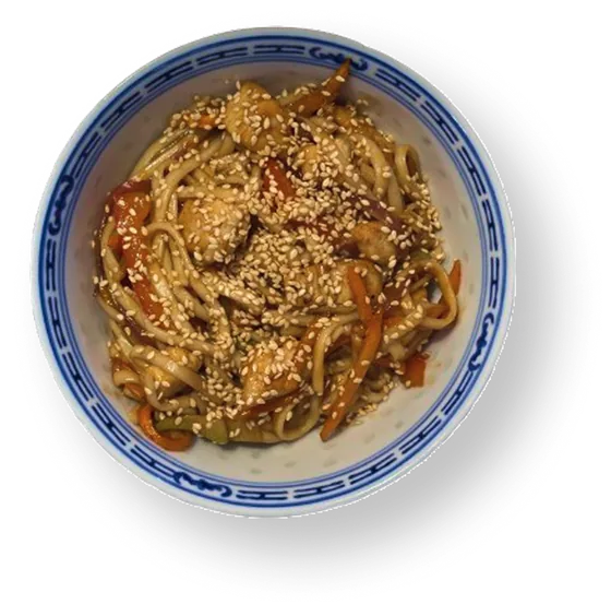 Udon noodles with chicken
